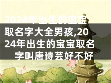 2024年出生的宝宝取名字大全男孩,2024年出生的宝宝取名字叫唐诗芸好不好