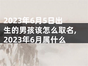 2023年6月5日出生的男孩该怎么取名,2023年6月属什么