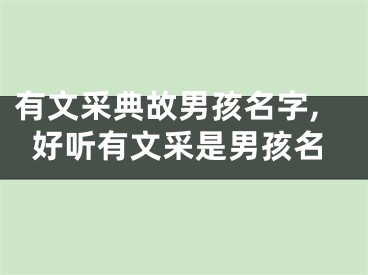 有文采典故男孩名字,好听有文采是男孩名