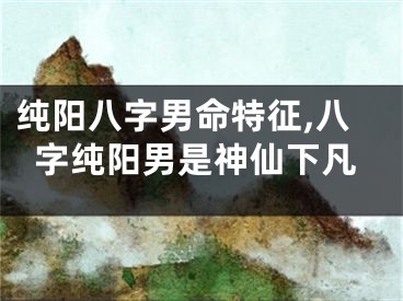 纯阳八字男命特征,八字纯阳男是神仙下凡
