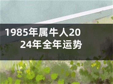 1985年属牛人2024年全年运势