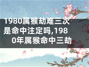 1980属猴劫难三次是命中注定吗,1980年属猴命中三劫