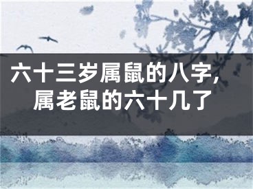 六十三岁属鼠的八字,属老鼠的六十几了
