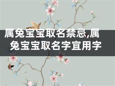 属兔宝宝取名禁忌,属兔宝宝取名字宜用字