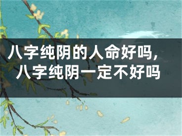 八字纯阴的人命好吗,八字纯阴一定不好吗