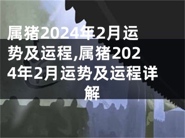 属猪2024年2月运势及运程,属猪2024年2月运势及运程详解
