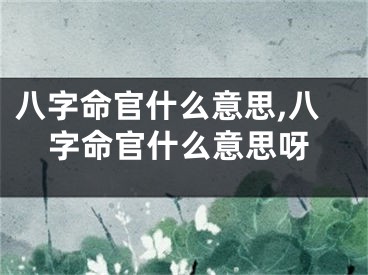 八字命官什么意思,八字命官什么意思呀
