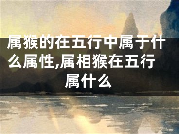 属猴的在五行中属于什么属性,属相猴在五行属什么