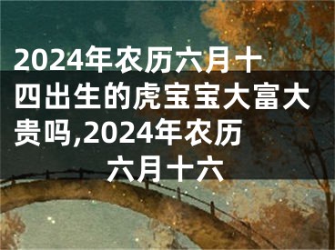 2024年农历六月十四出生的虎宝宝大富大贵吗,2024年农历六月十六