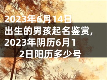 2023年6月14日出生的男孩起名鉴赏,2023年阴历6月12日阳历多少号
