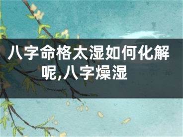 八字命格太湿如何化解呢,八字燥湿