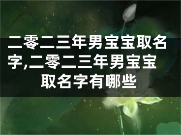 二零二三年男宝宝取名字,二零二三年男宝宝取名字有哪些