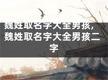 魏姓取名字大全男孩,魏姓取名字大全男孩二字
