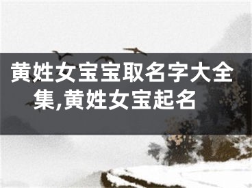 黄姓女宝宝取名字大全集,黄姓女宝起名