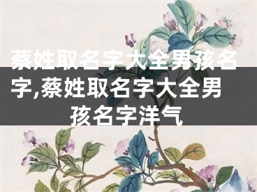 蔡姓取名字大全男孩名字,蔡姓取名字大全男孩名字洋气