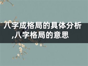 八字成格局的具体分析,八字格局的意思