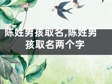 陈姓男孩取名,陈姓男孩取名两个字