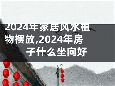 2024年家居风水植物摆放,2024年房子什么坐向好