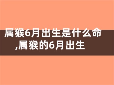 属猴6月出生是什么命,属猴的6月出生