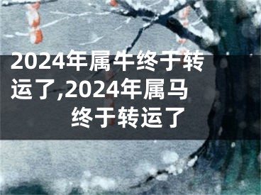 2024年属牛终于转运了,2024年属马终于转运了