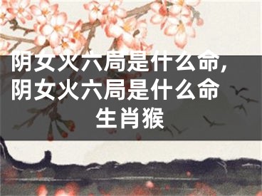阴女火六局是什么命,阴女火六局是什么命 生肖猴