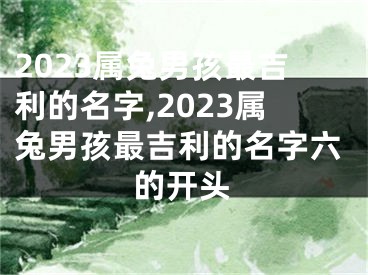 2023属兔男孩最吉利的名字,2023属兔男孩最吉利的名字六的开头