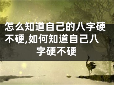 怎么知道自己的八字硬不硬,如何知道自己八字硬不硬