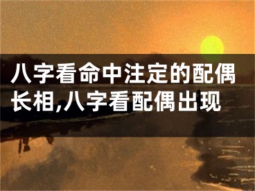 八字看命中注定的配偶长相,八字看配偶出现