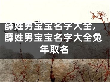 薛姓男宝宝名字大全,薛姓男宝宝名字大全兔年取名
