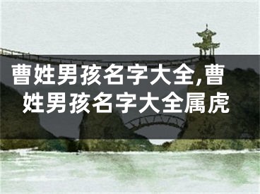 曹姓男孩名字大全,曹姓男孩名字大全属虎