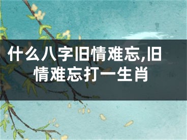 什么八字旧情难忘,旧情难忘打一生肖