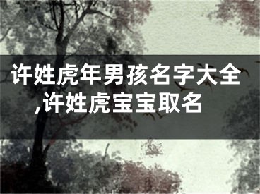 许姓虎年男孩名字大全,许姓虎宝宝取名