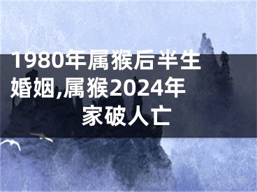 1980年属猴后半生婚姻,属猴2024年家破人亡