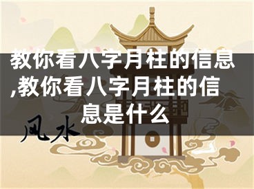 教你看八字月柱的信息,教你看八字月柱的信息是什么