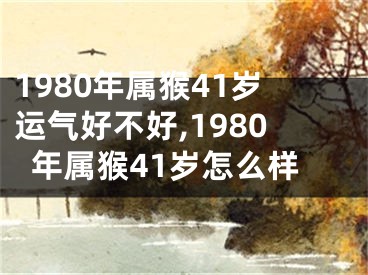 1980年属猴41岁运气好不好,1980年属猴41岁怎么样