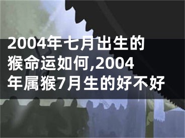 2004年七月出生的猴命运如何,2004年属猴7月生的好不好