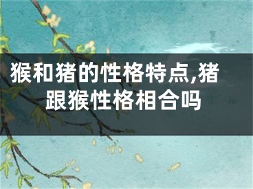 猴和猪的性格特点,猪跟猴性格相合吗