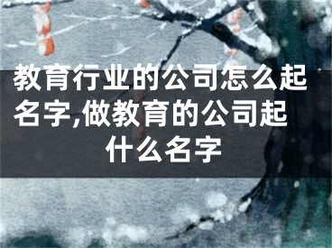 教育行业的公司怎么起名字,做教育的公司起什么名字
