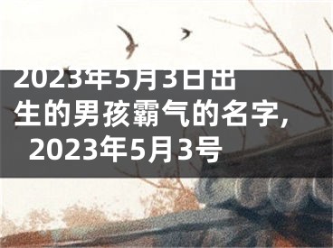 2023年5月3日出生的男孩霸气的名字,2023年5月3号