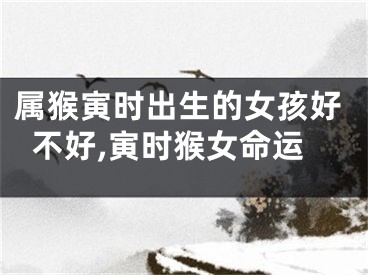 属猴寅时出生的女孩好不好,寅时猴女命运