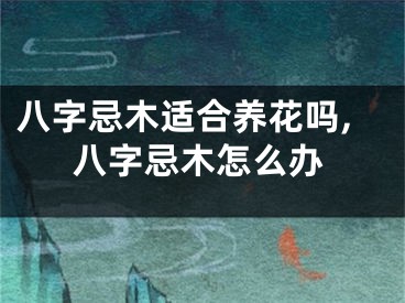 八字忌木适合养花吗,八字忌木怎么办