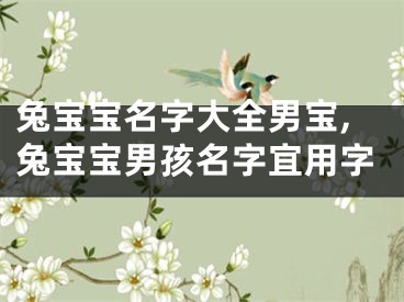 兔宝宝名字大全男宝,兔宝宝男孩名字宜用字