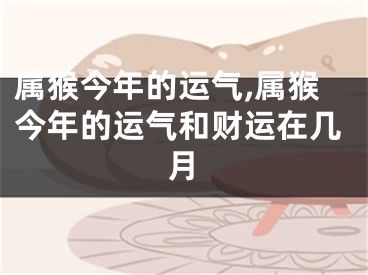 属猴今年的运气,属猴今年的运气和财运在几月