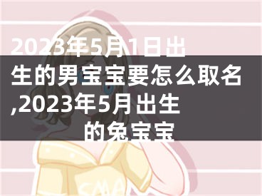 2023年5月1日出生的男宝宝要怎么取名,2023年5月出生的兔宝宝