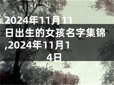 2024年11月11日出生的女孩名字集锦,2024年11月14日