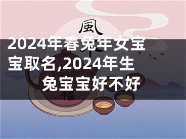 2024年春兔年女宝宝取名,2024年生兔宝宝好不好