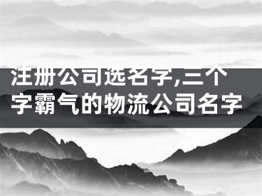 注册公司选名字,三个字霸气的物流公司名字