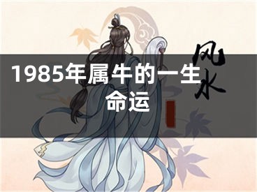 1985年属牛的一生命运