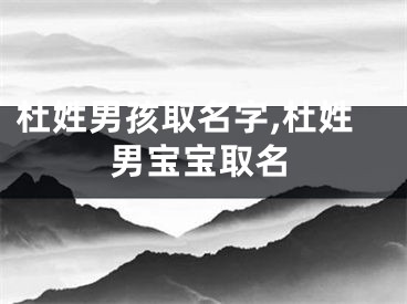 杜姓男孩取名字,杜姓男宝宝取名