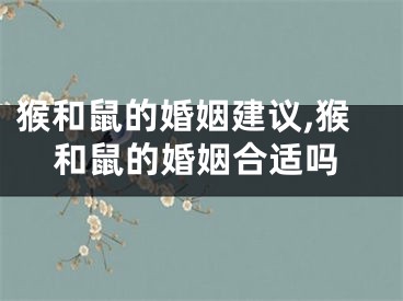 猴和鼠的婚姻建议,猴和鼠的婚姻合适吗